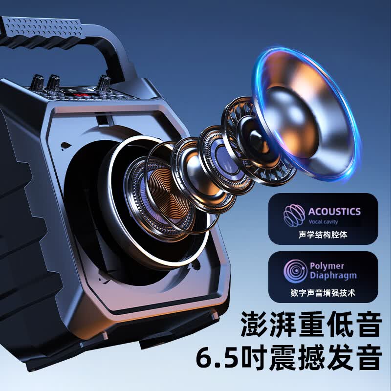 爱国者（aigo） T20手提蓝牙音响广场舞户外大音量低音炮家用播放器便携式移动一体机声卡特效U盘TF卡扩音K歌音箱 黑色升级版【6.5寸大喇叭】无线双话筒