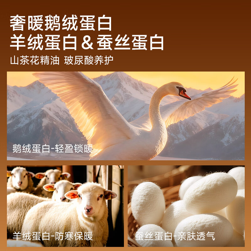 都市丽人女士保暖裤女10A抑菌冬日季防寒舒适亲肤透气双层高腰头裤塑型裤 黑灰色 L 建议【80-125斤】