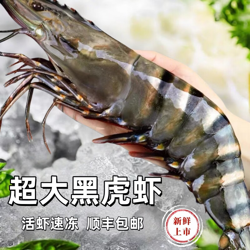 翰鸥斐进口高品质活冻气冻黑虎虾 超大虾类大虾生鲜老虎虾冰鲜海虾礼盒 超大黑虎虾王【3只共2斤】 1000g(净重)