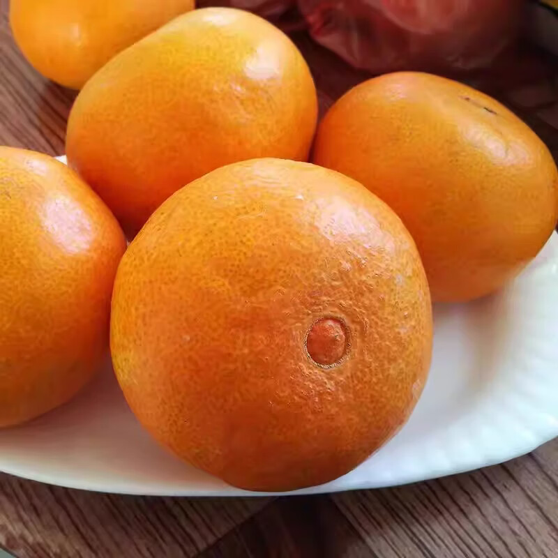 绿熊庄园【京东】正宗红美人柑橘28号果冻橙薄皮无核新鲜当季水果孕妇礼盒 中大果200-250g 净重5斤