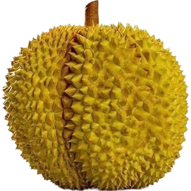 ���ڲ��������ٲ���̩�����������ʹ�һ������������ˮ�������۰��� ����������3������3-4�� 93.8Ԫ