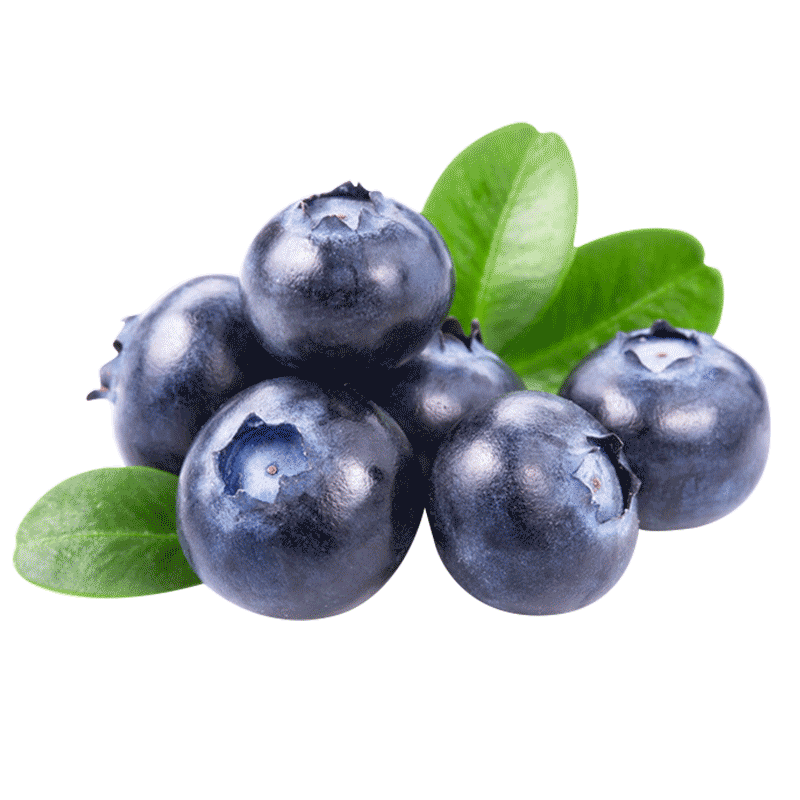 京鲜生 云南蓝莓 4盒中果14mm+ 125g/盒 生鲜年货水果 源头直发