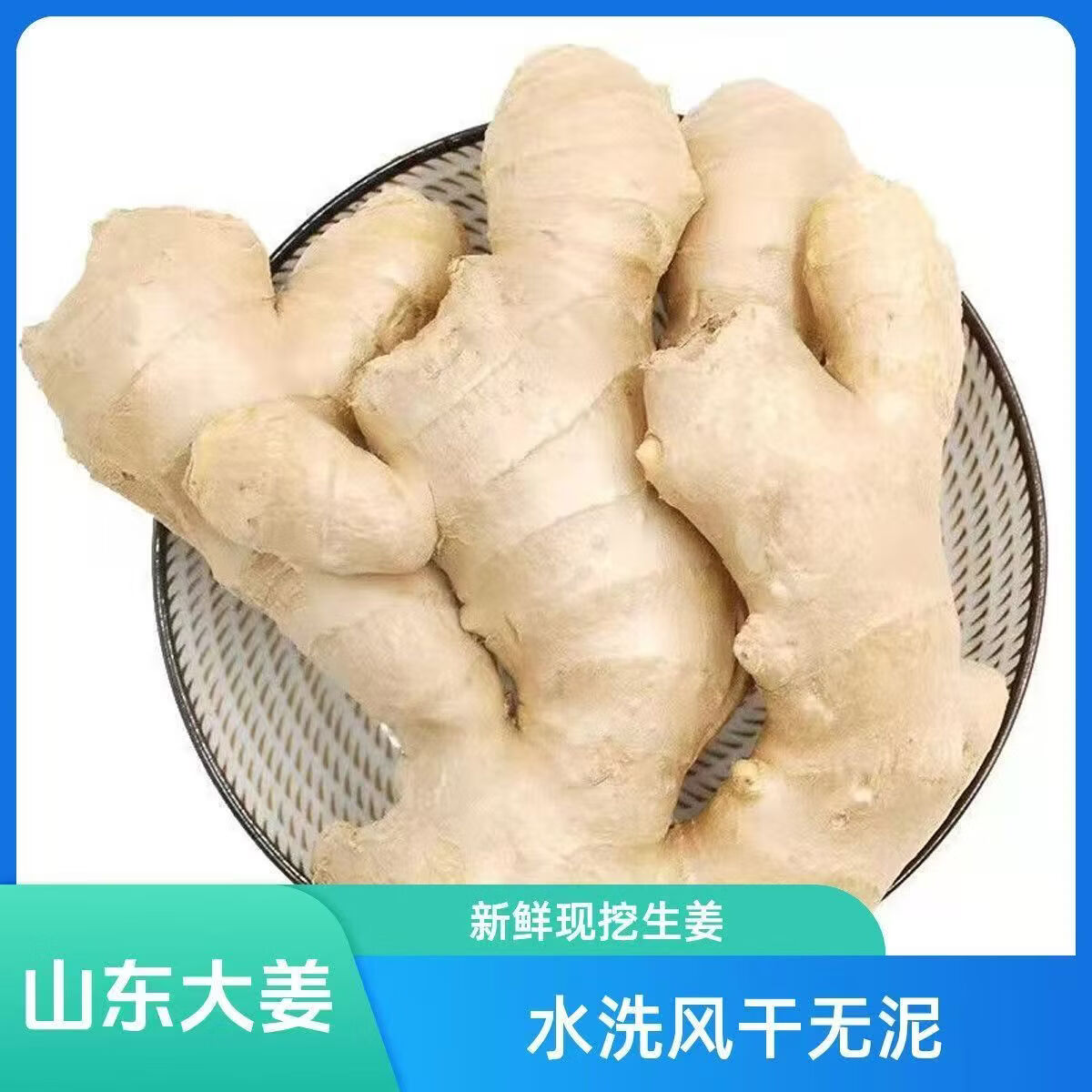 山东窖藏大黄姜新鲜生姜老姜沙姜月子姜农家现挖当季3斤 精品姜块 整箱3斤（净重）优质姜块