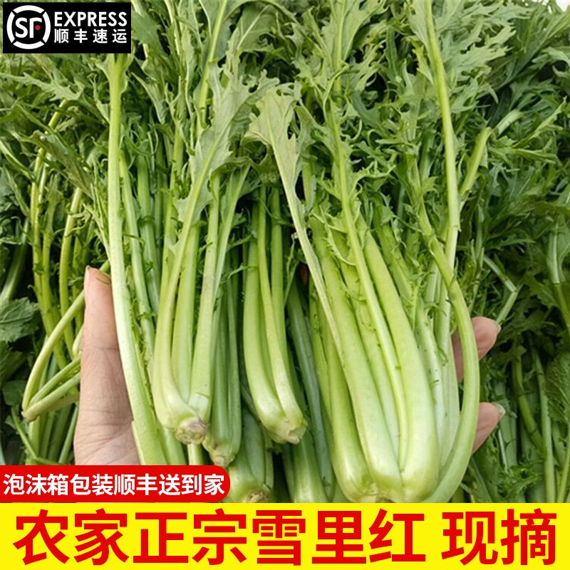 查看叶菜类商品历史价格的网站|叶菜类价格走势图