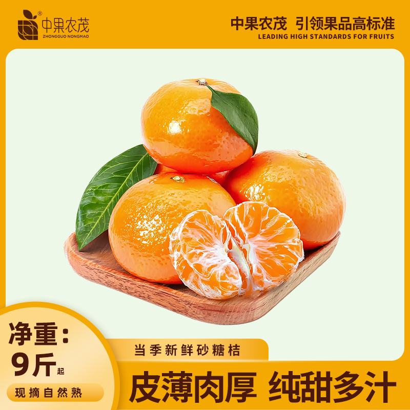 中果农茂广西砂糖橘当季新鲜水果现摘金秋沙糖桔柑橘蜜桔橘子孕妇桔子整箱 优选装-净重9斤【小中果】