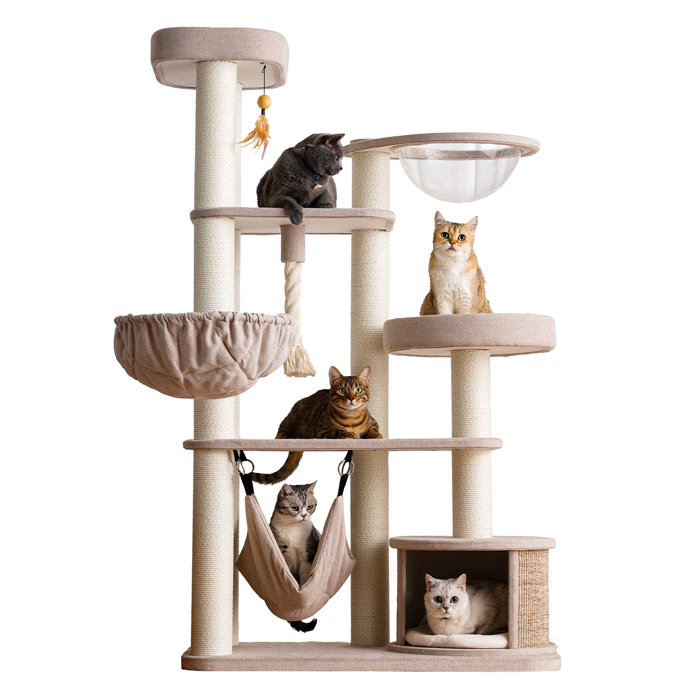 ����ɭ��è���ܴ���è��è��һ���������è��̫�ղ������èů������ ɭ�֡�����