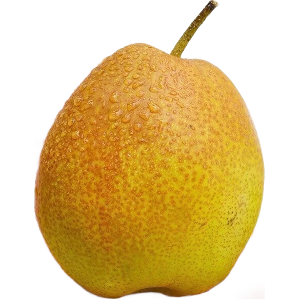 ��ϲ�� ������������ �������2��װ ����1.8�� ����100g 4.75Ԫ