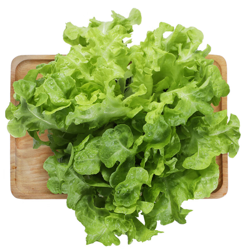 京东掉价啦之前价格1990元京觅优选橡叶生菜沙拉孕产宝宝辅食低卡轻食