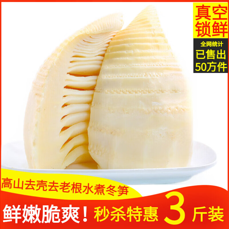 赣乐记贞竹系列冬笋新鲜竹笋尖去壳水煮清水冬笋现挖江西高山玉兰笋 鲜嫩冬笋500g*3袋[3斤]