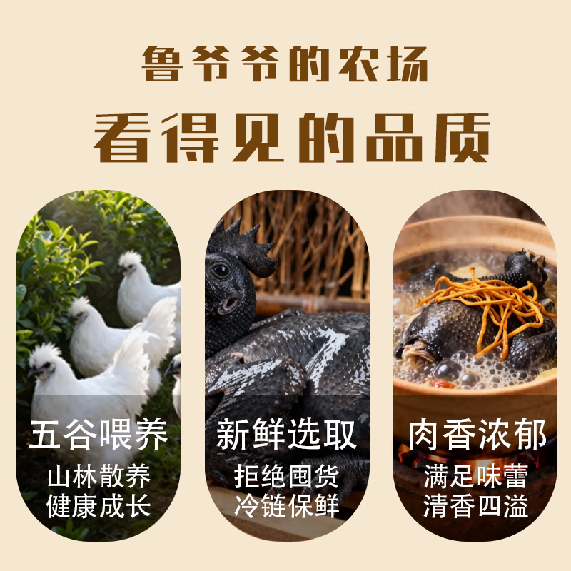 鲁爷爷的农场清真乌鸡新鲜现杀农家散养正宗乌骨鸡走地鸡煲汤食材 1只现杀乌鸡 净重700~800g