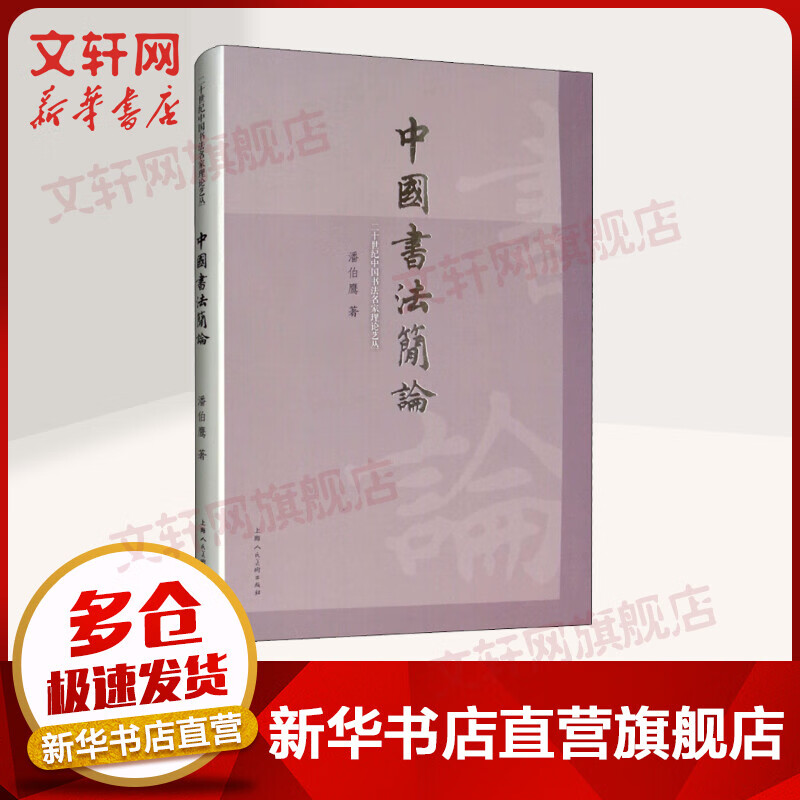 中国书法简论 二十世纪中国书法名家理论艺丛 潘伯鹰 上海人民美术出版社