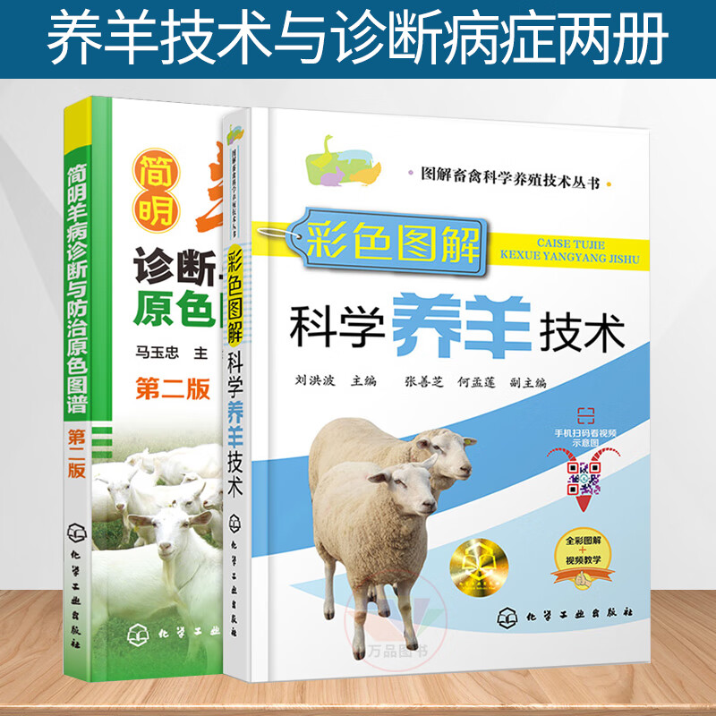 全2册 养羊技术书籍 彩色图解科学养羊技术+简明羊病诊断与防治原色图谱 养羊书 山羊羔羊养殖技术 