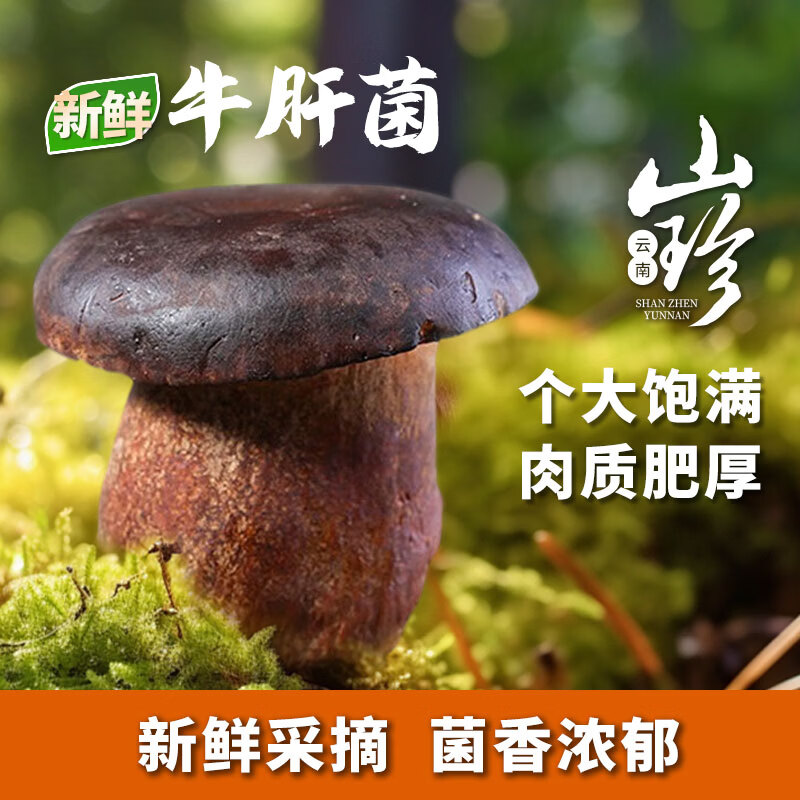 京鲜生云南【新鲜黑牛肝】净重1斤特产鲜菌菇煲汤火锅食材源头直发