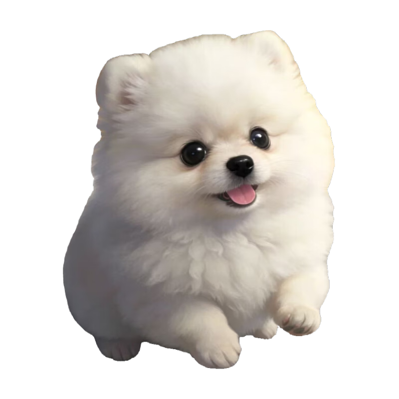 ���ڲ�������������ֲ���Ȯ���β�����Ȯ������ﹷ���豭Ȯ������С�׹�С�岩�� ���Ｖ �� 2480Ԫ��5��(��496Ԫ/��)