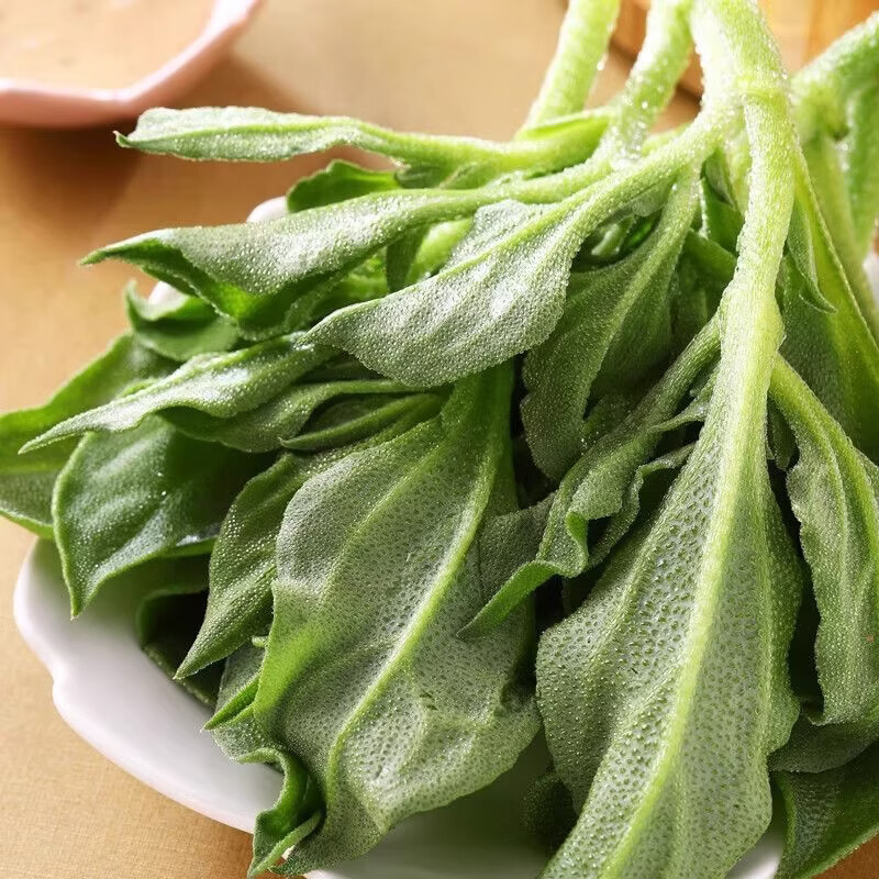 绿熊庄园新鲜冰菜冰草沙拉菜火锅即食生吃生菜凉拌菜新鲜蔬菜现摘冰叶整箱 净重2斤