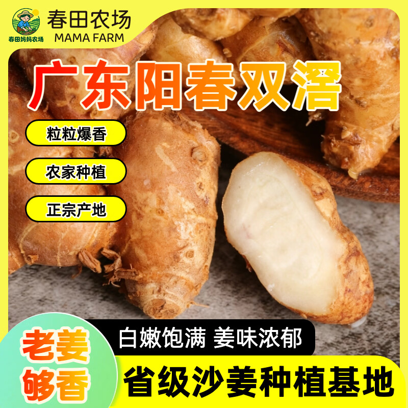 【沙姜之乡】广东特产正宗阳春双滘新鲜沙姜调味提鲜增香双窖山奈 广东省级沙姜种植基地甄选 【1斤尝鲜装】姜味浓郁，来自深山老林