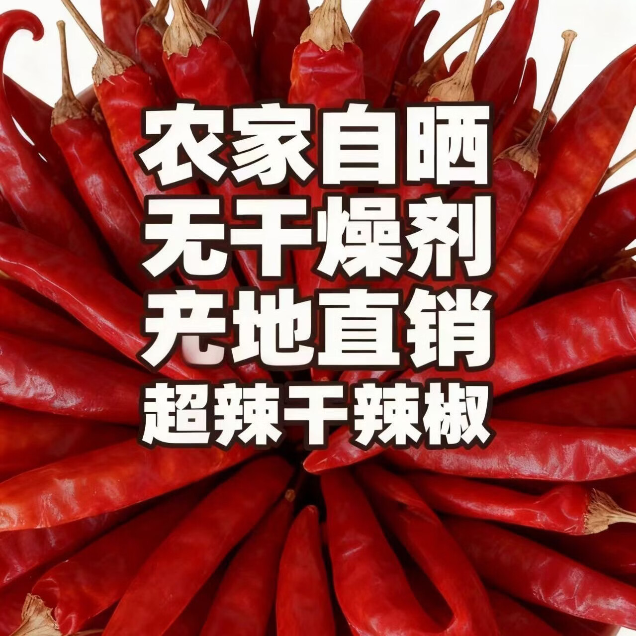 干辣椒批发特辣香辣朝天椒干红辣椒晒干微辣红辣椒干辣椒段家用 1000g【根根精选】 【巨辣】整支