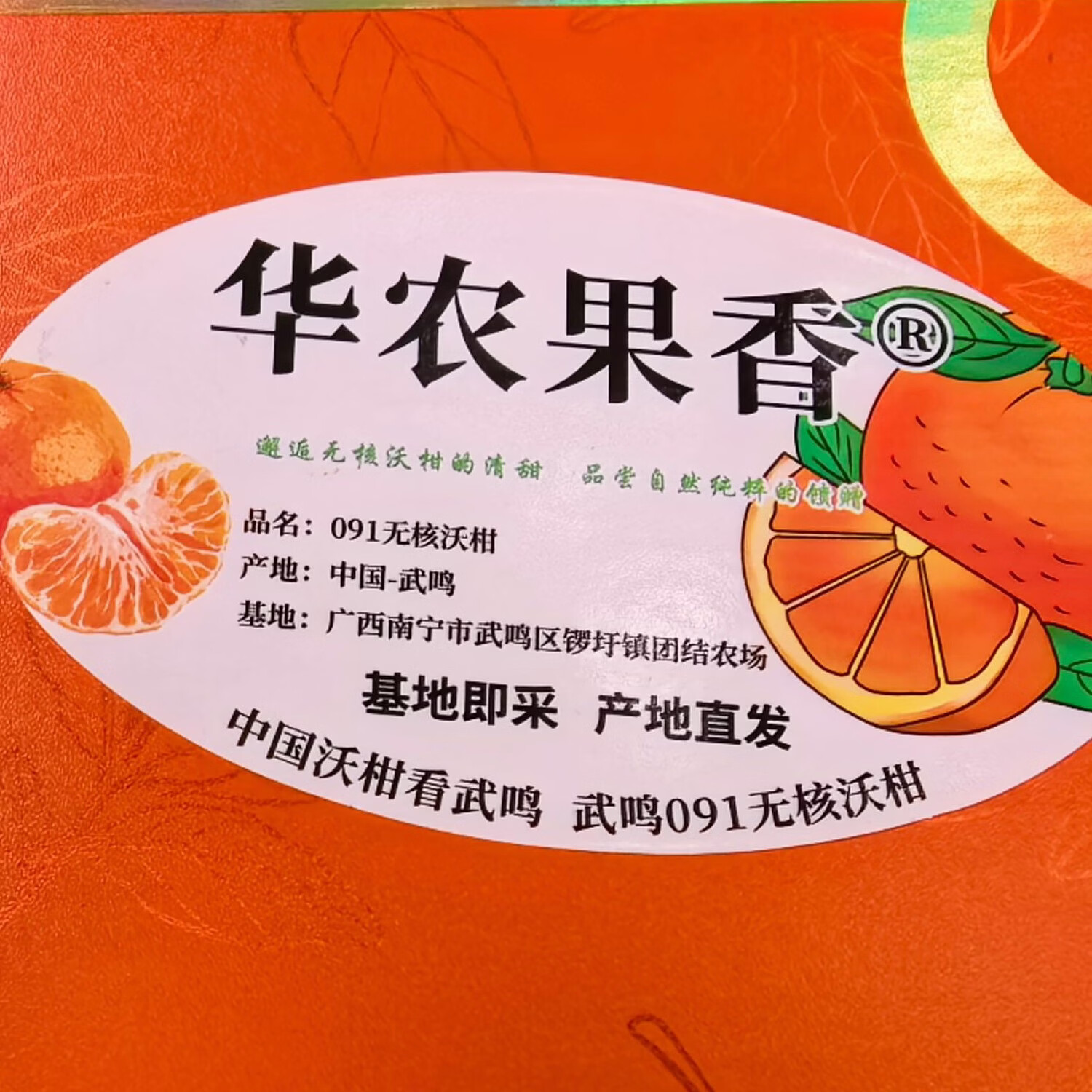 华农果香广西沃柑武鸣沃柑无核无籽爆甜新鲜水果柑橘9-10斤礼品礼盒装礼物