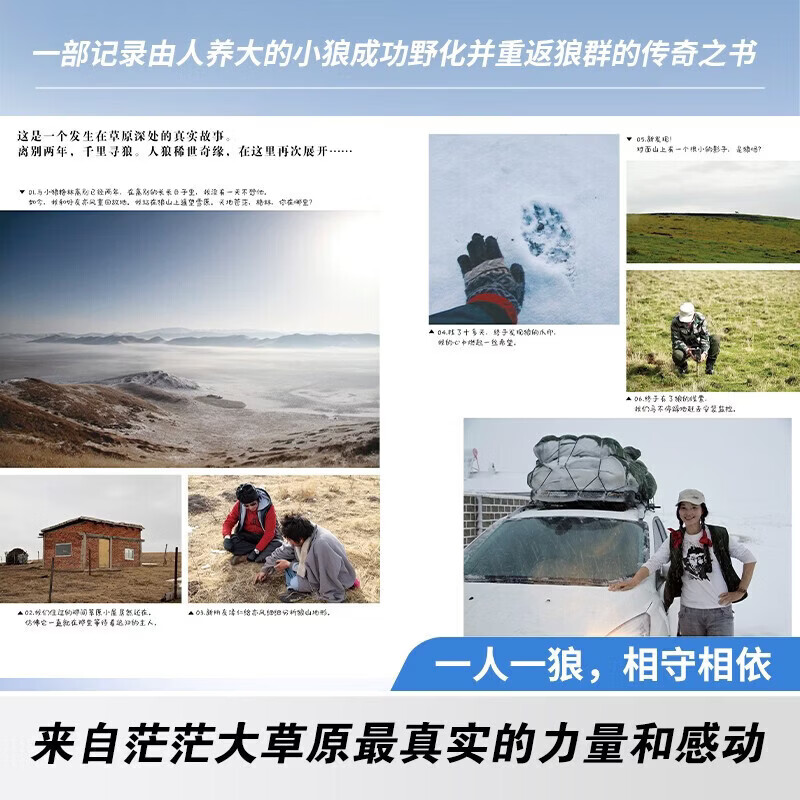 【官方正版-京仓直配】全套2册 重返狼群 李微漪重返狼群 重返狼群李微漪正版 让我陪你重返狼群+千里寻你重返狼群 李微漪中国儿童文学小说 小学生课外阅读书籍狼图腾姜戎同名电影原著小说图书籍 让我陪你重