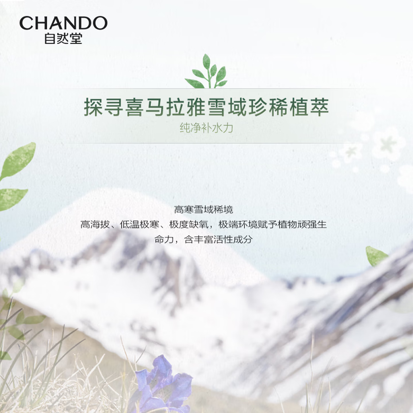 自然堂（CHANDO）面膜喜马拉雅舒缓补水保湿细致毛孔平衡肌肤油脂焕亮清新植物女 面膜48片 百合12龙胆10紫草13雪莲13