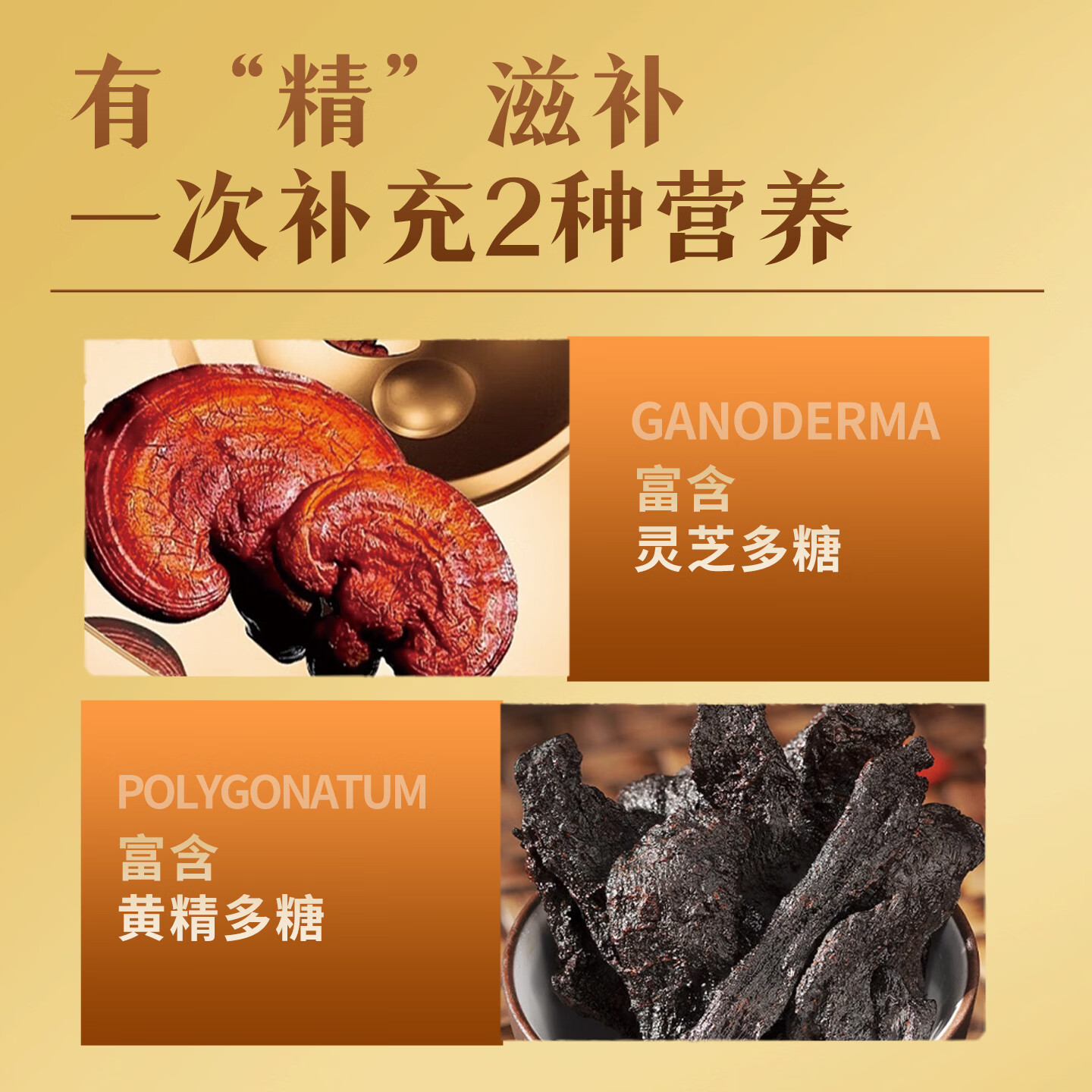 中科破壁灵芝孢子粉黄精胶囊增强免疫力双精华灵芝多糖保健品礼盒送礼 60粒单瓶初体验