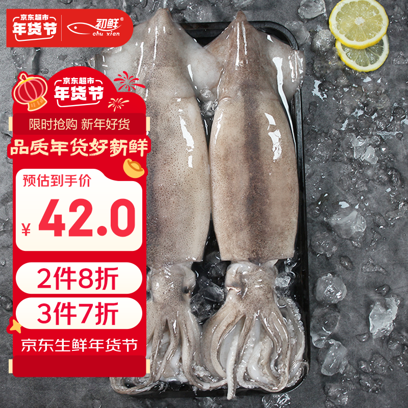 初鲜鲜冻大鱿鱼2-4条净重1.2-1.3斤 铁板鱿鱼火锅烧烤食材 年货送礼