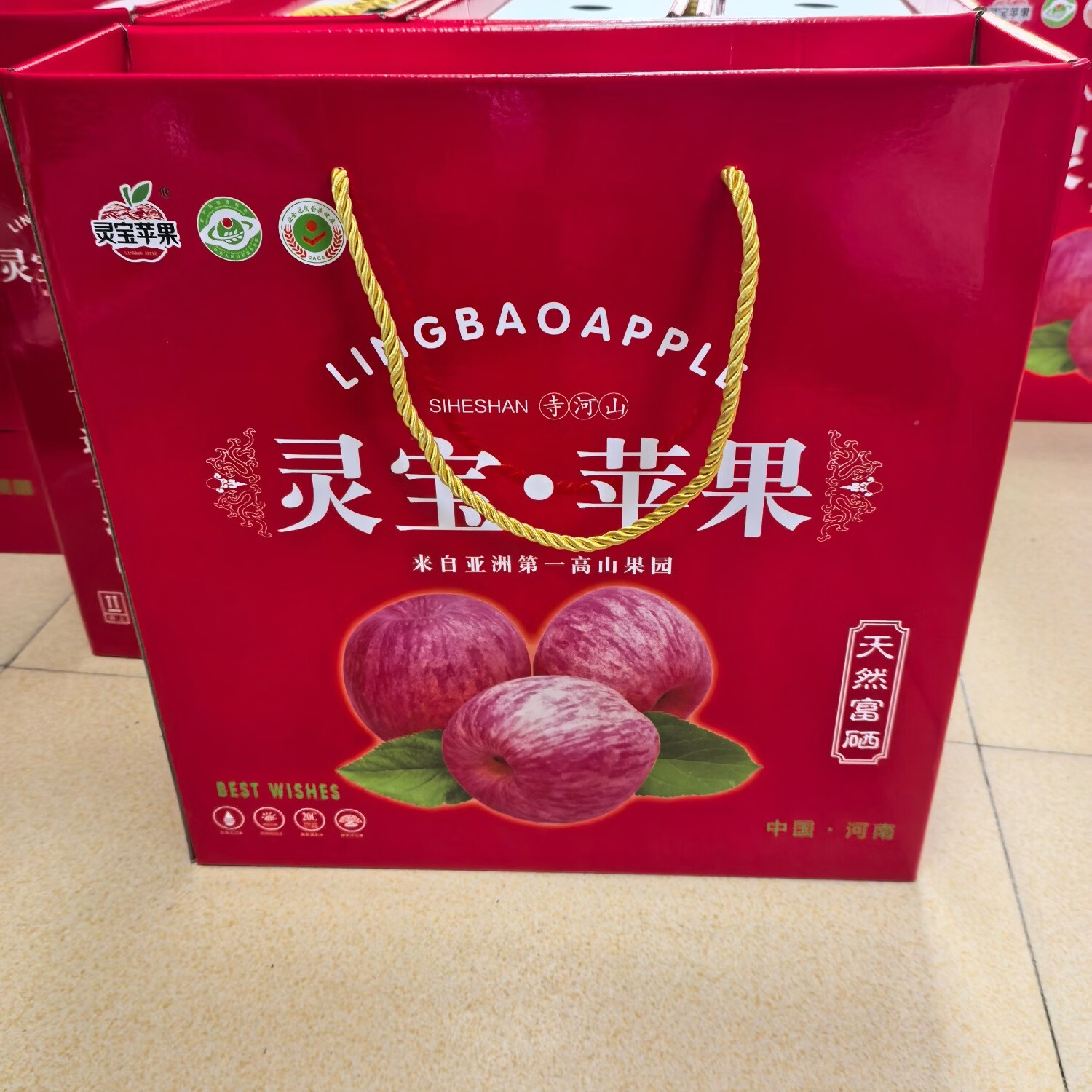 灵宝苹果 LINGBAO APPLE2025灵宝正宗寺河山SOD红富士苹果礼盒装新鲜天然富硒脆甜爽口 100mm以上（手提9个装）