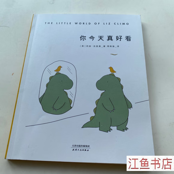二手九新 你今天真好看 周高逸 译者;[美]莉兹·克里莫;果麦文化 天津