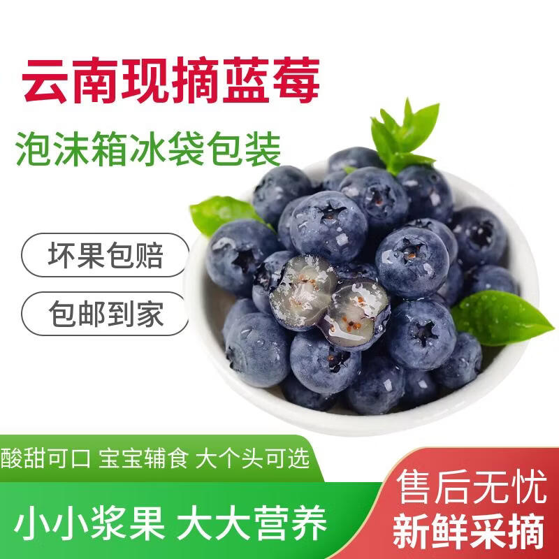 鲜级佳云南蓝莓【顺丰/JD多地次日达】花香新鲜当季时令孕妇水果礼盒 云南蓝莓15-18mm+中果 一桶500g家庭装