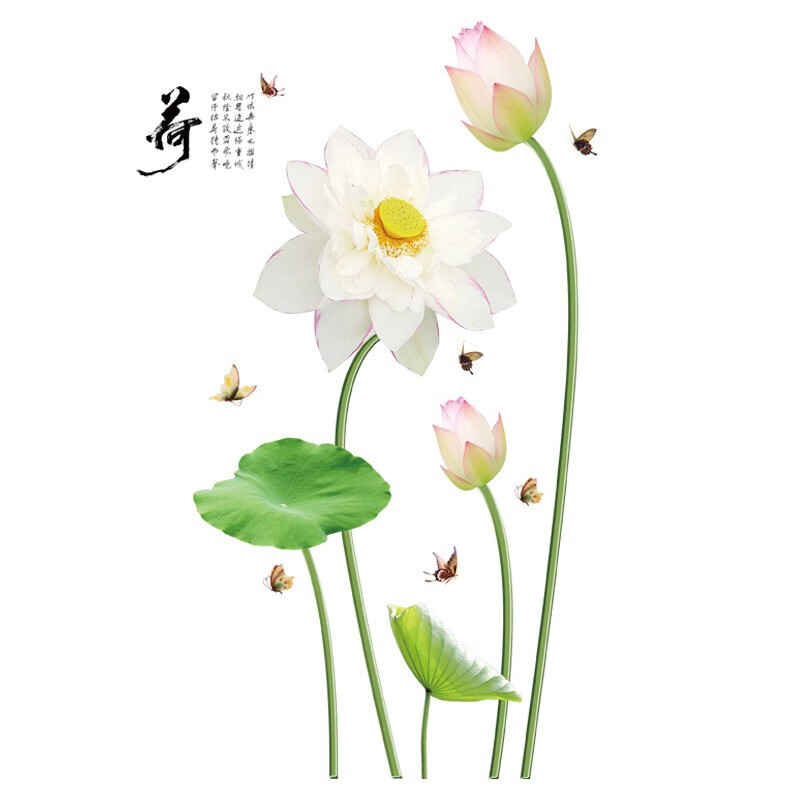 荷花墙贴画电视背景墙影视墙贴画卧室床头玄关墙贴画书房墙画宜佳佳