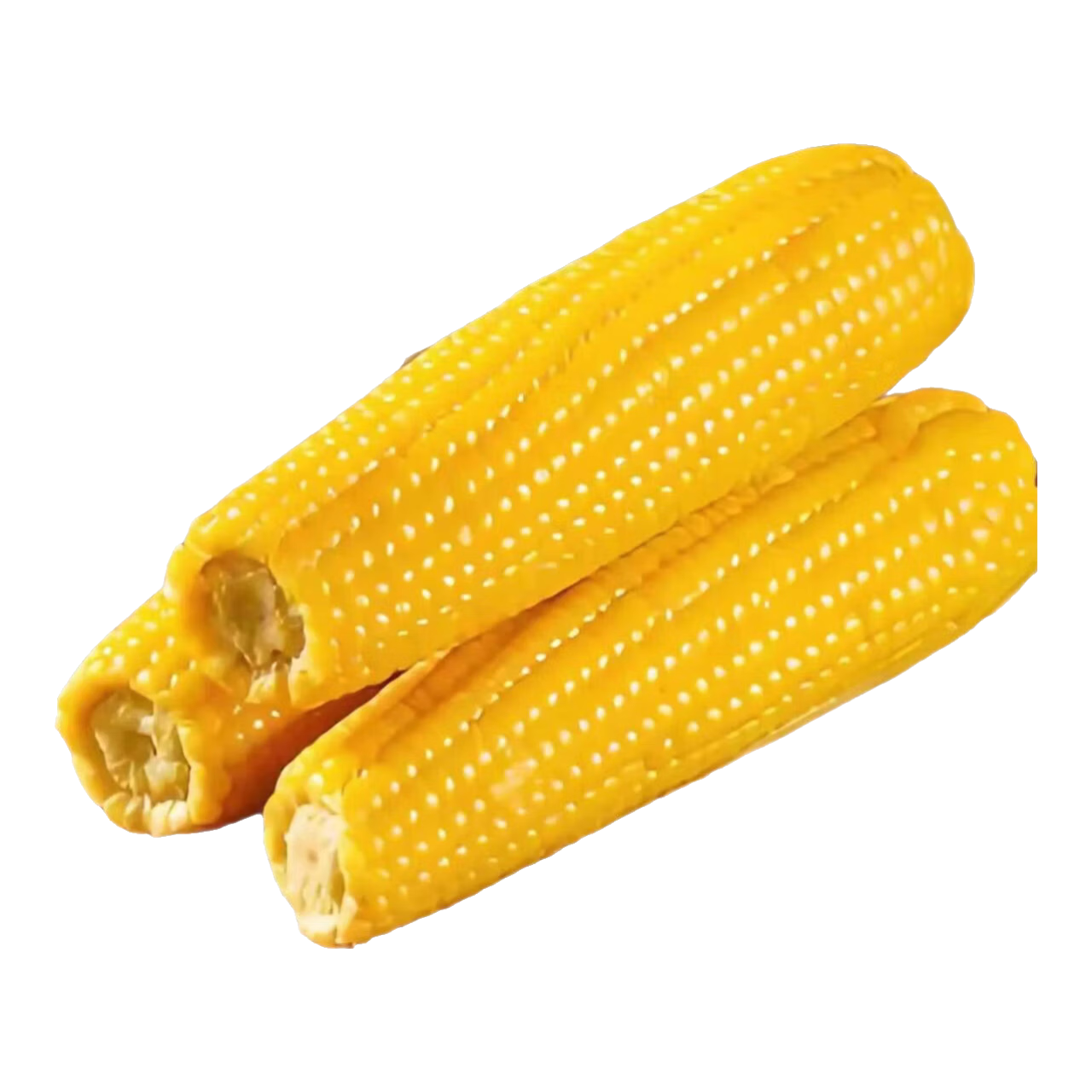 京鲜匠东北黄糯玉米棒新鲜 甜黑糯玉米棒 代餐轻食真空包装黏粘玉米 黄糯玉米8棒装 单棒200g以上