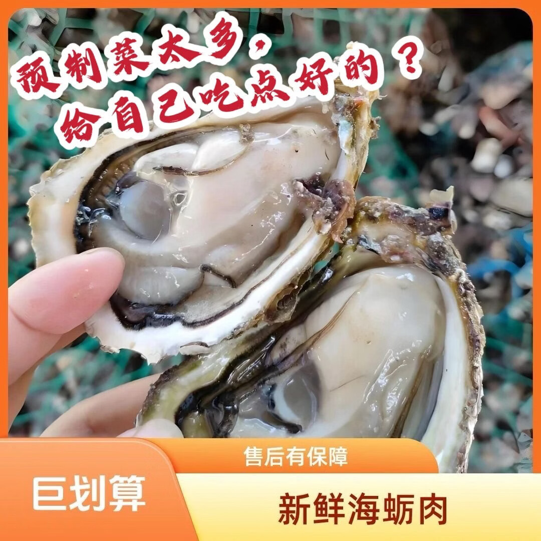福建小海蛎生蚝现捞现剥无泡水贝类牡蛎小海蛎子肉新鲜海蛎肉批发 2000g--每斤含150克左右原浆液--介意勿拍