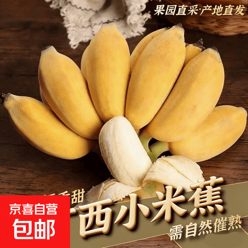 京喜加新鲜小米蕉广西香蕉水果迷你香蕉青皮米蕉粉蕉孕妇翕果11 小米蕉带箱2斤
