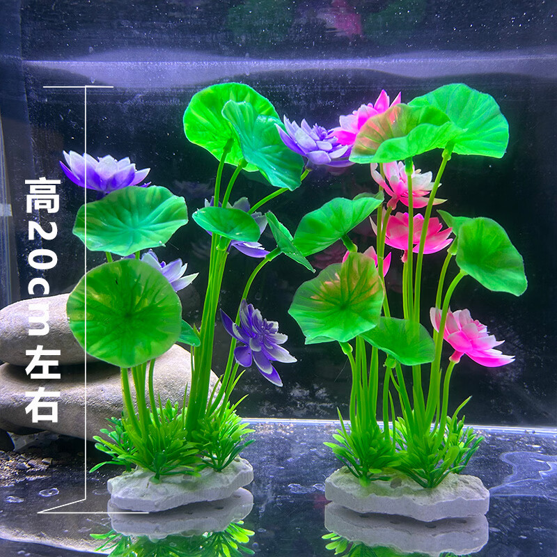 水自在鱼缸造景仿真荷花草假花假草鱼缸装饰仿真水草套餐鱼缸假植物组合 蓝色荷花+粉色荷花