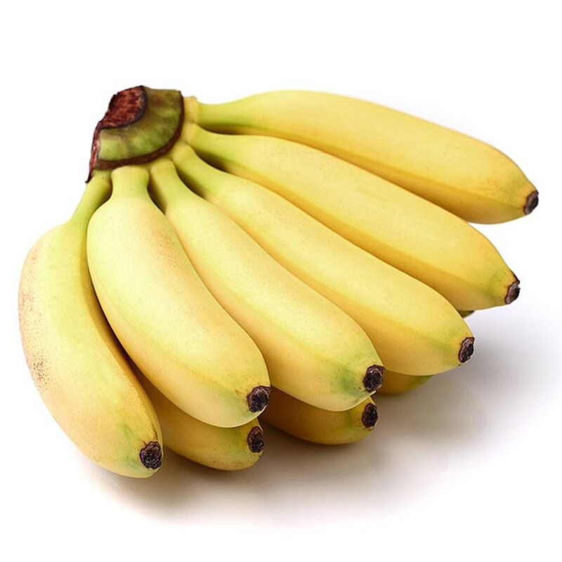 广东新鲜生香蕉banana无催熟 芭蕉粉蕉皇帝蕉生鲜水果 香蕉 5斤