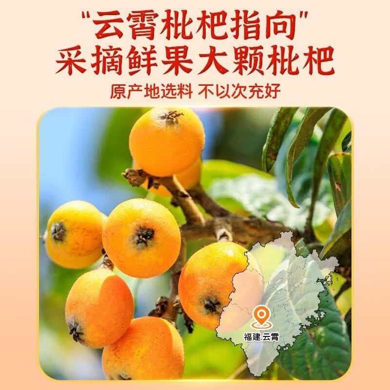内廷上用北京同仁堂枇杷干200g/罐润肺化痰天然健康无核正宗真枇杷干零食 【软糯香甜】 200g*1罐 【百年品牌】无核枇杷干