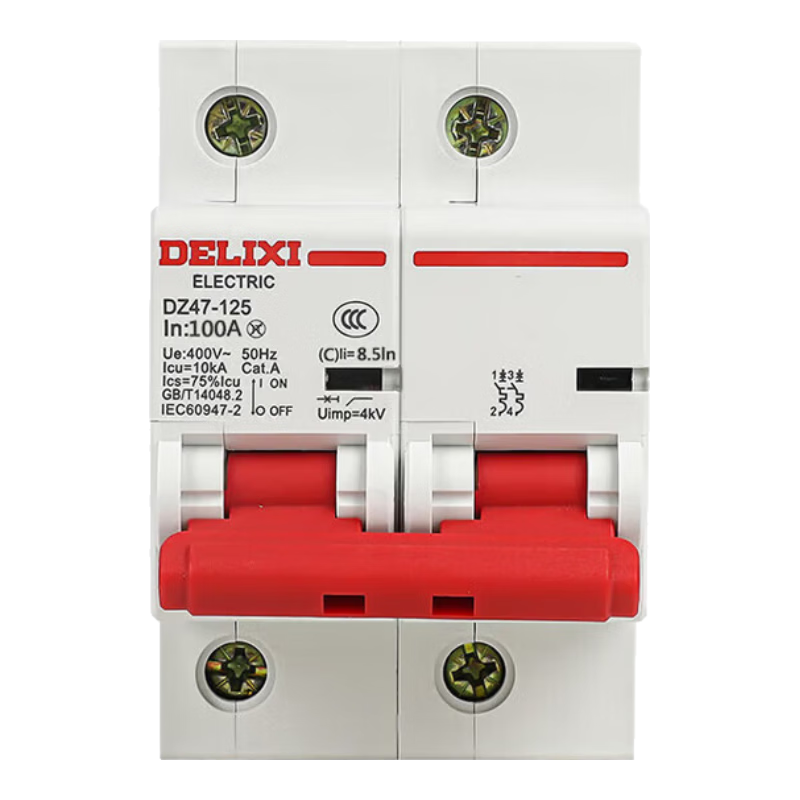 ���������� ���ؿ�������100a С�Ͷ�·��  C�Ϳ�����բ DZ47-125-2P-C100