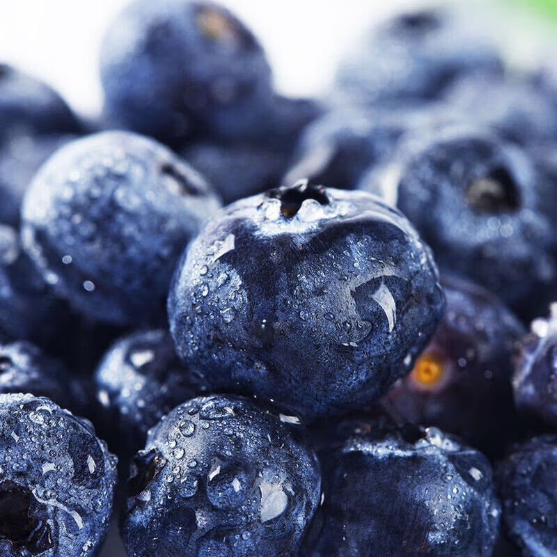 云南花香蓝莓新鲜水果高山蓝莓新鲜现采现摘高山孕妇水果送礼物品 10盒装 多买多划算【90-115g/盒】 云南花香蓝莓新鲜水果高山蓝莓新鲜现采现摘高山孕妇水果送礼物品 10盒装 多买多划算【90-115g/盒】