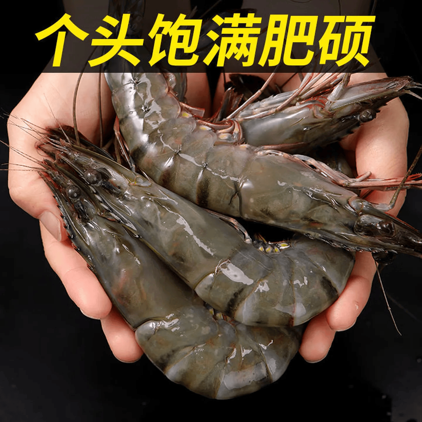 黑虎虾活冻超大虾类大虾生鲜老虎虾鲜活冷冻对虾鲜海虾冷冻海鲜 20只/盒/斤 450g(净重) 2盒