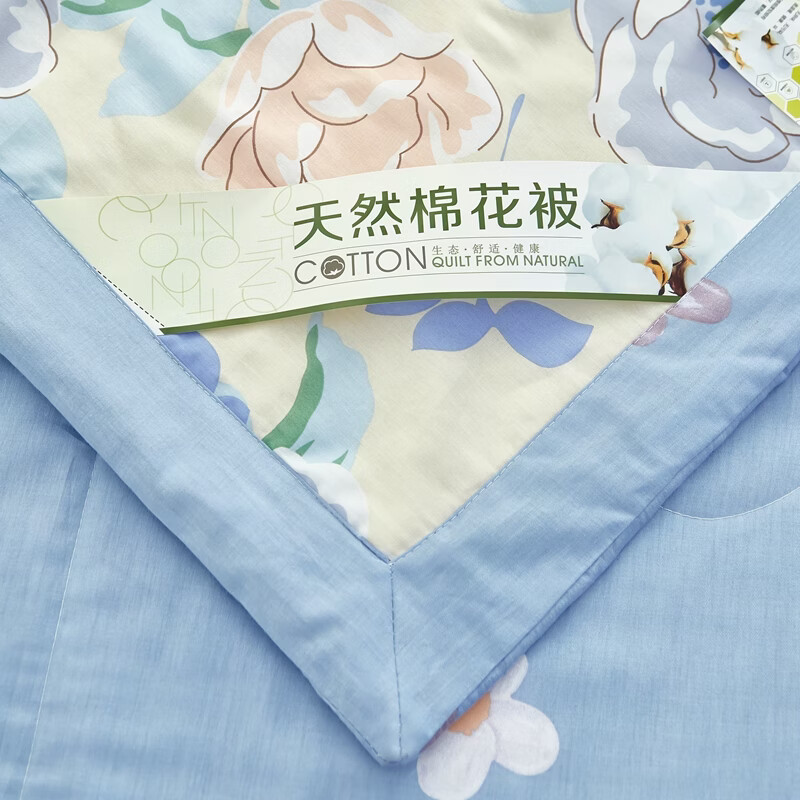 恒源祥 空调被 100%棉花夏凉被子纯棉可机洗午睡单人双人全棉被芯夏季 【全棉A类+新品上市】北国之春 200x230cm【夏被单件】