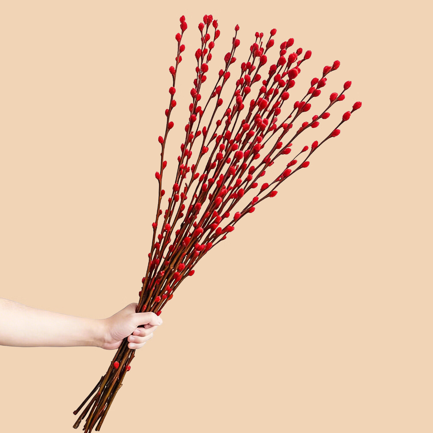 植导引力银柳真花鲜枝客厅摆件红色年宵花花卉干花干枝盆栽居家装饰喜庆 60cm银柳【30枝】含花瓶+挂饰
