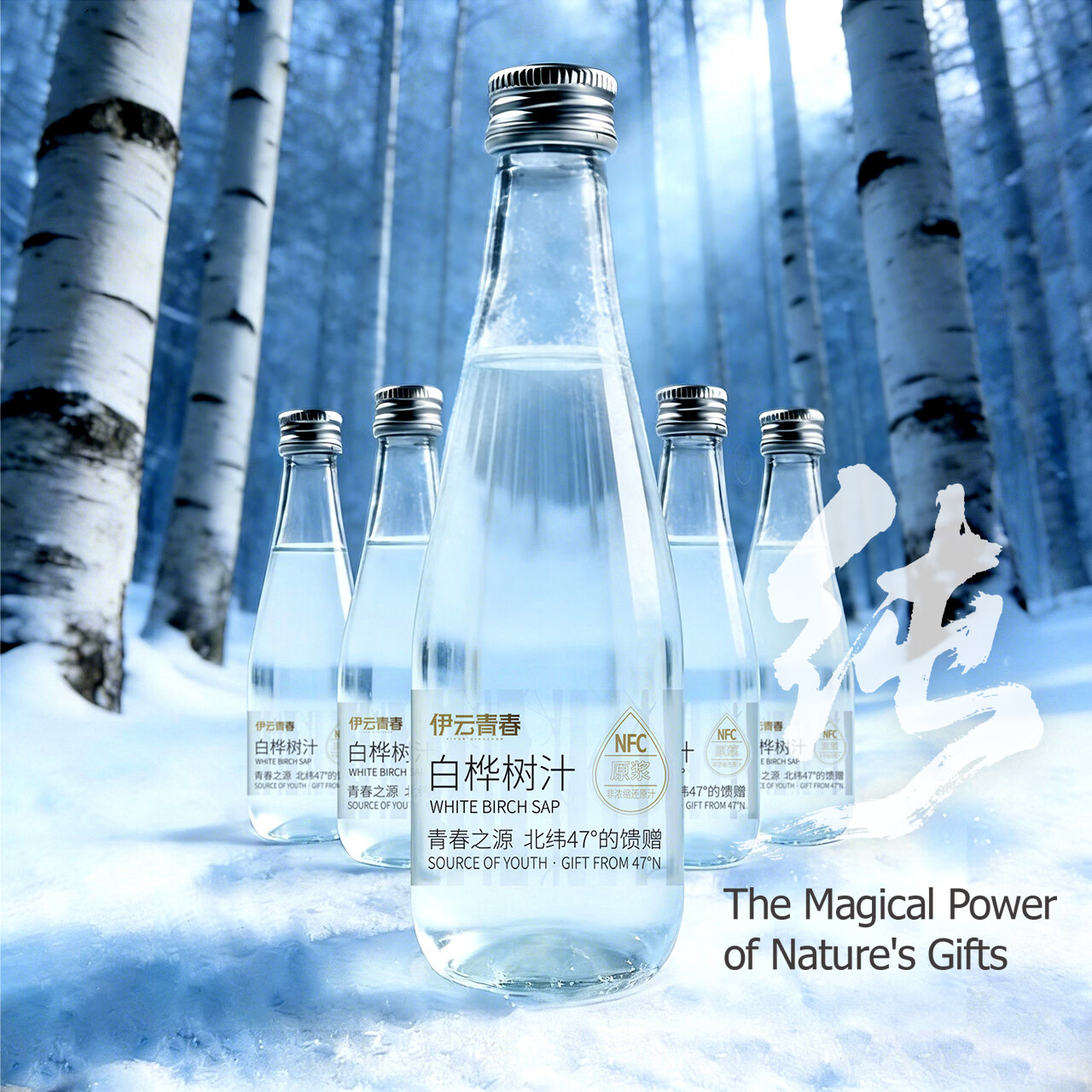 【地标甄选】伊云青春小兴安岭白桦树汁NFC100%原汁330ml*6瓶 白桦树汁330ml*24瓶