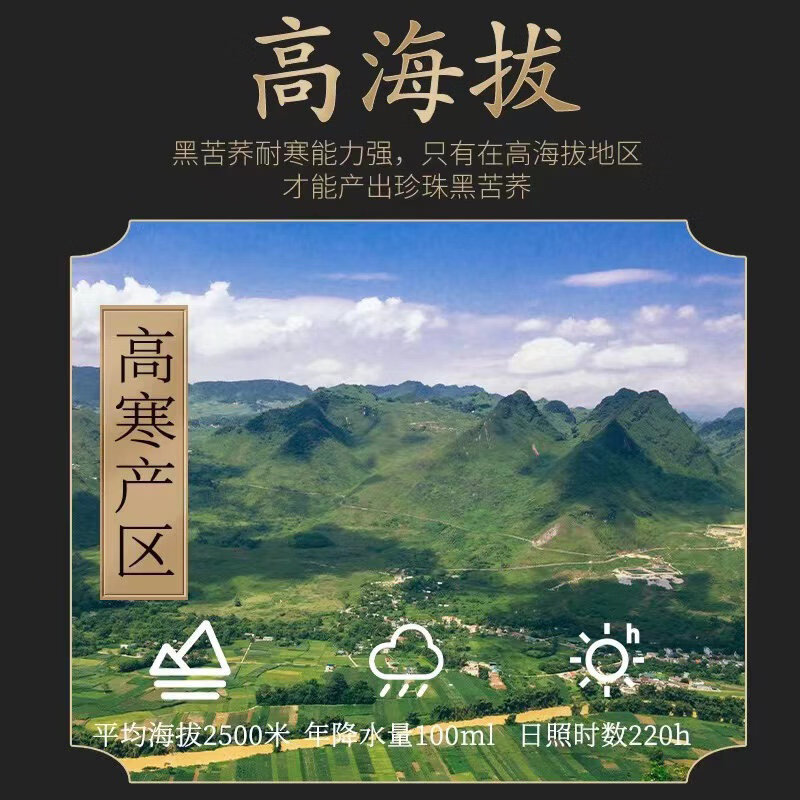 同仁堂北京黑苦荞麦茶特级养生茶泡水喝的冲泡麦茶荞麦茶官方旗舰