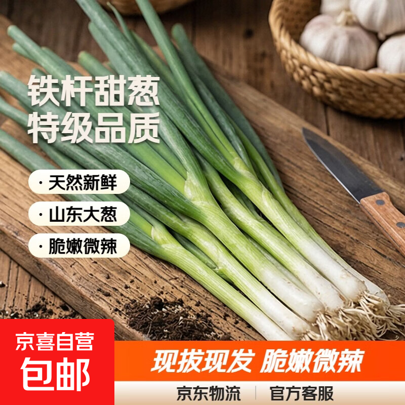 山东铁杆大葱安丘甜葱特级白毛葱非章丘蘸酱嫩葱包邮现拔3/5斤 正宗山东大葱带皮去叶 净重8.8斤【带箱9斤】