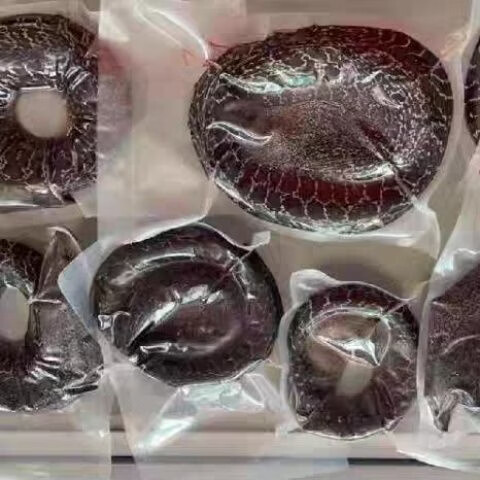 【顺丰冷链包邮】正宗海南直发野生大海鳗鱼新鲜活冻深海冷冻鱼类 每条 2.5 斤-3.03斤 /发 3 条【顺丰包邮】海南千年渔