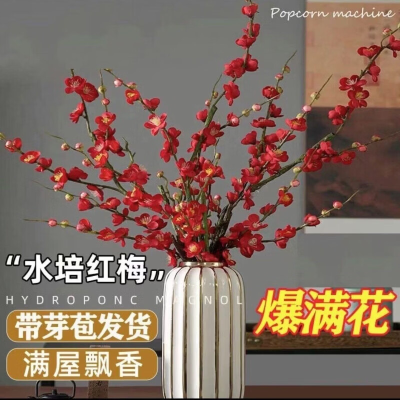 清洁JTT 水培干枝梅花40-50cm(20枝) 红色遇水开花(干枝)