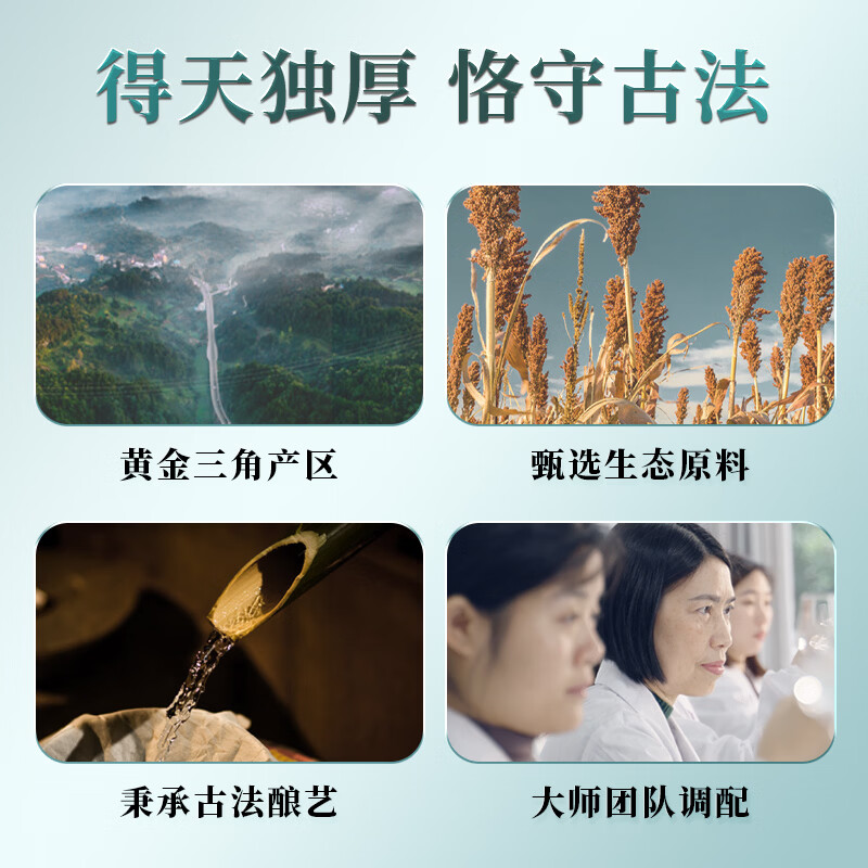 小糊涂仙珍酿白酒浓香型52度520ml白酒宴请商务送礼 52度 520mL 2瓶