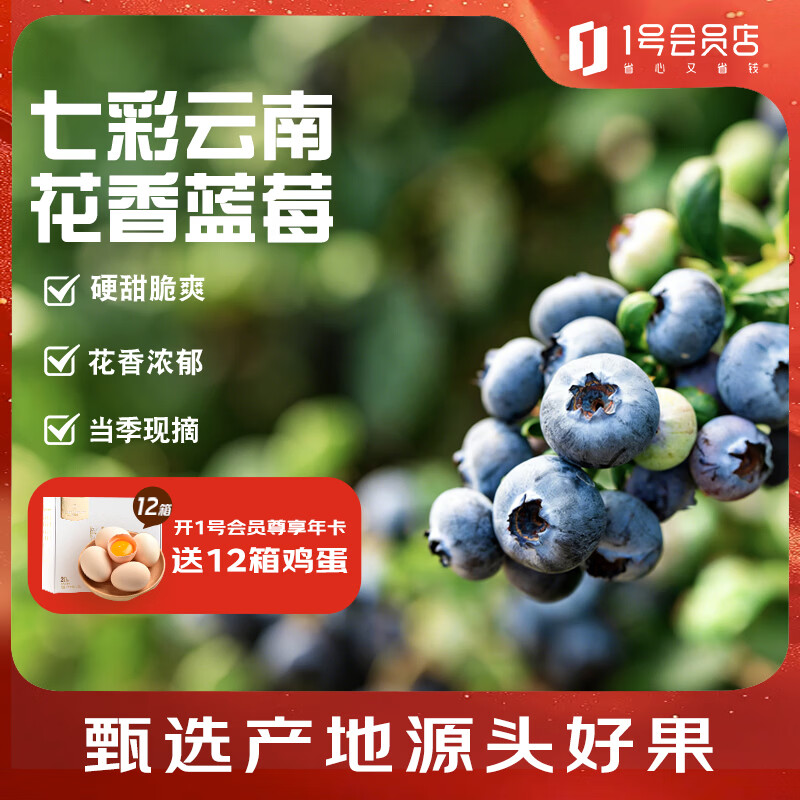趣尝鲜云南高原应季花香蓝莓4盒装125g/盒 单果18mm+ 源头直发 一件包邮