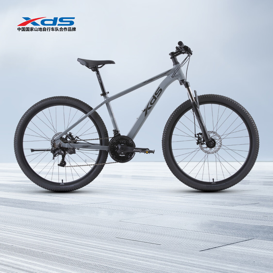 喜德盛（xds）山地自行车26款旭日310运动健身学生青少年成人骑行变速轻便单车 26款旭日310石岩灰15.5寸