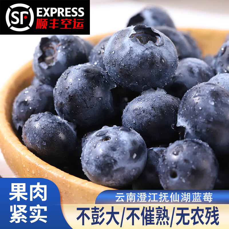 云南澄江抚仙湖花香蓝莓L25蓝莓脆甜天花板 超大果源头空运次日达 L25花香蓝莓125g*4盒装净重1斤+顺丰空运 中果15mm+
